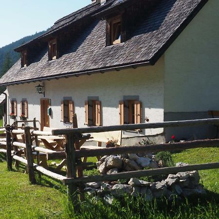 Zickerreith Almhutte Hostel Rosenau am Hengstpass Buitenkant foto